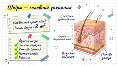 0901z2ko-43af-409x230.png