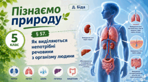 Як виділяються непотрібні речовини з організму людини. 5 клас НУШ