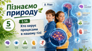 Хто керує процесами в нашому тілі. 5 клас НУШ