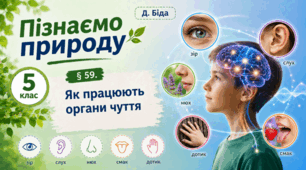Як працюють органи чуття
