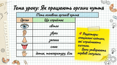 0901z375-4870-391x220.png