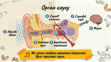 0901z37s-32d6-387x218.png