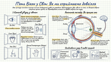 0901z39g-71de-376x212.png