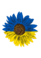 0901z43x-e80a-41x58.png