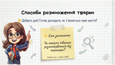 0901z5d9-cad4-390x220.png