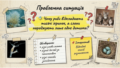 0901z5da-4c56-402x227.png
