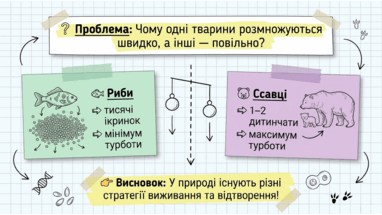 0901z5dd-ff3d-382x215.png