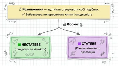 0901z5di-82cc-403x227.png