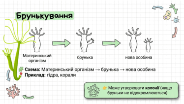 0901z5dq-0cf7-374x211.png