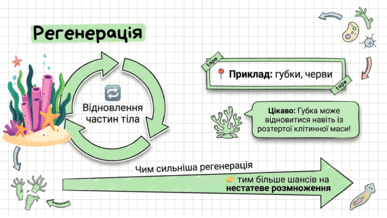 0901z5eb-58dd-387x218.png