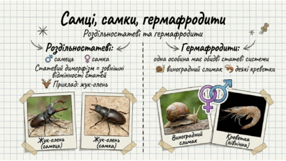 0901z5ek-71a8-413x232.png