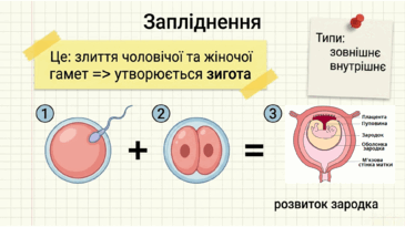 0901z5eq-978a-365x205.png