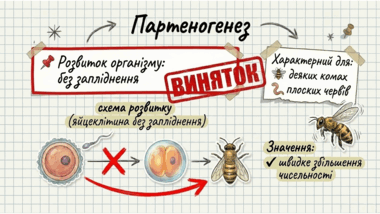 0901z5ey-d07e-380x214.png