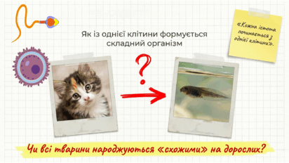 0901z5mz-7a19-412x232.png