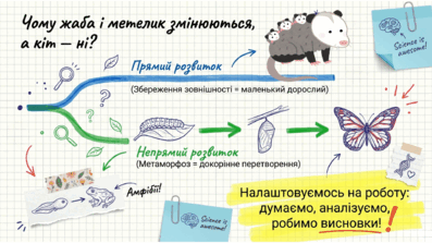 0901z5n2-28b0-397x223.png