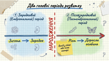 0901z5ot-32c2-381x214.png