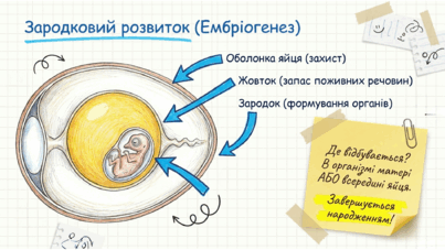0901z5ps-fff2-403x227.png