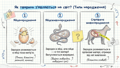 0901z5q7-999e-406x229.png