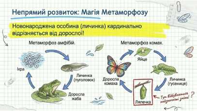 0901z5qe-794a-407x229.png