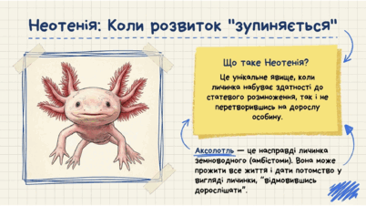 0901z5qi-da17-402x226.png