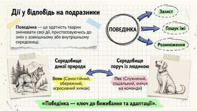 0901z5vf-2444-407x229.png
