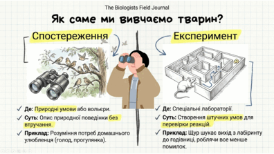 0901z5vj-8096-396x223.png