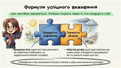 0901z5w1-278e-392x221.png
