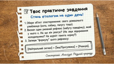 0901z5wb-576c-396x223.png