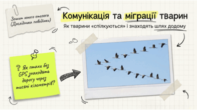 0901z604-30d9-393x221.png