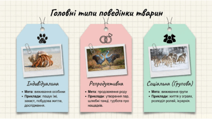 0901z608-2aa4-416x234.png