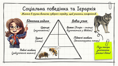 0901z622-fc55-393x221.png