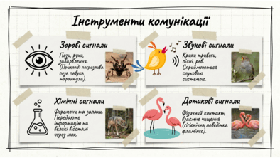 0901z626-80ab-394x222.png