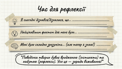 0901z62k-7e11-392x221.png