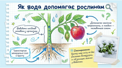0901z69c-60b0-389x219.png