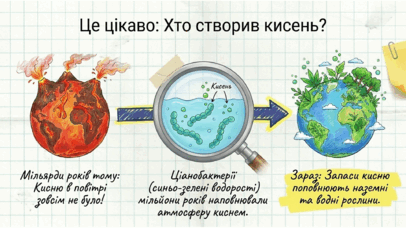 0901z6h9-e9b2-406x228.png