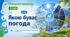 Якою буває погода. 5 клас НУШ