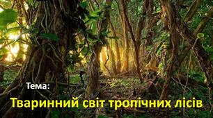 "Тваринний світ тропічних лісів"