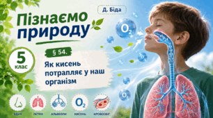 Як кисень потрапляє у наш організм