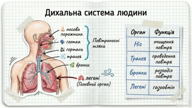 0901zacg-d259-384x216.png