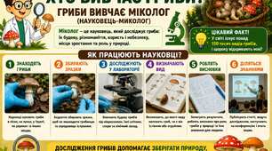 Гриби їстівні та отруйні