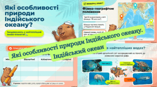 Які особливості природи Індійського океану. Індійський океан
