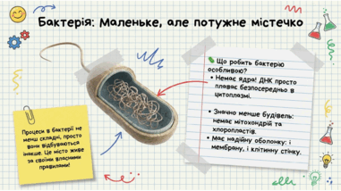 0901zc7h-3578-381x214.png