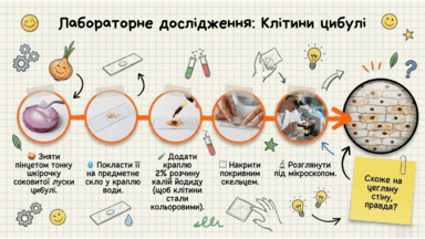 0901zc80-2395-384x216.png