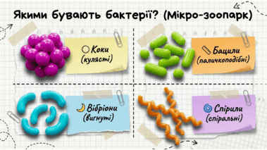 0901zca9-f793-379x213.png
