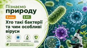 Хто такі бактерії та чим особливі віруси. 5 клас НУШ