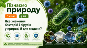 Яке значення бактерій і вірусів у природі й для людини? 5 клас НУШ