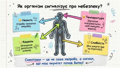0901zcd2-1b88-403x227.png