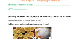 КОМПЛЕКСНА ПІДСУМКОВА РОБОТА З БІОЛОГІЇ  (7 КЛАС)  Гриби — гетеротрофні організми