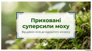 Адаптація мохів та лікарські стратегії