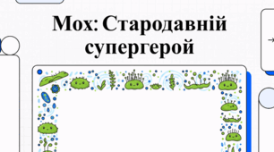 Адаптація мохів та лікарські стратегії